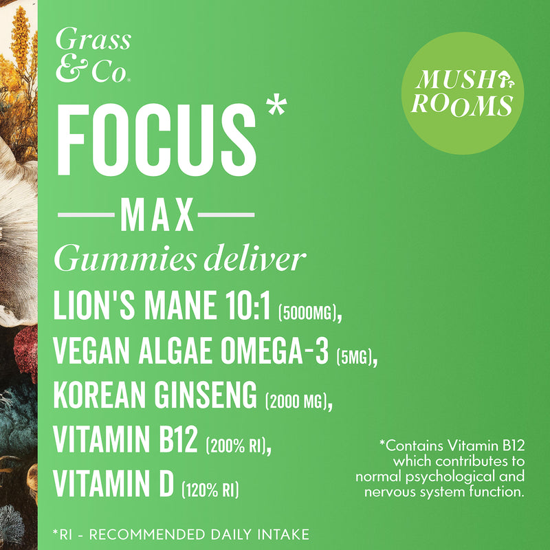 Grass & Co. Lion's Mane gummies lemon elderflower 60 (British brand)