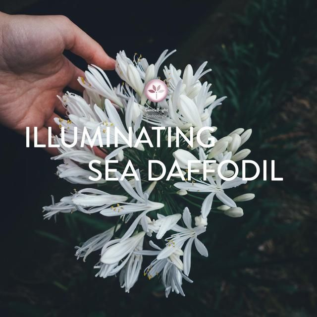 Cetaphil Brightening Healthy Radiance Creamy Cleanser 100g