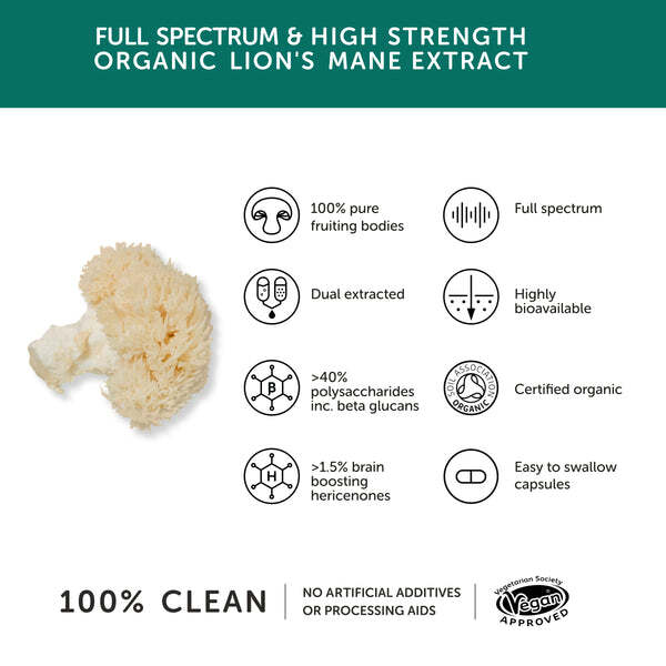 Together Health Lion's Mane Mushroom Extract 60 Capsules, imported from the UK