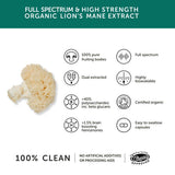 Together Health Lion's Mane Mushroom Extract 60 Capsules, imported from the UK