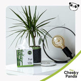 Cheeky Panda Natural Bamboo Facial Tissue 56 per pack