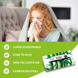 Cheeky Panda Natural Bamboo Facial Tissue 80 per pack