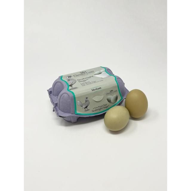 Clarence Court Free Range Seabright Sage Eggs 6 per pack