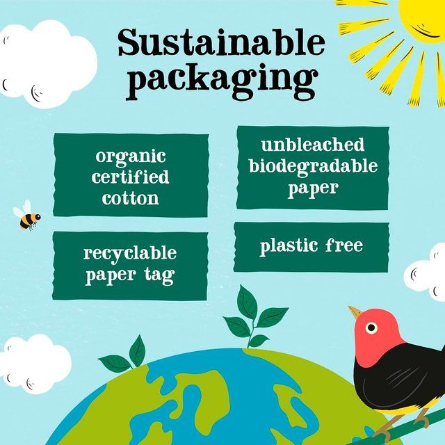 Clipper Organic Fairtrade Green Tea Bags 80 per pack