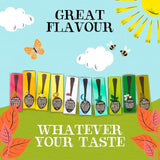 Clipper Organic Fairtrade Restoring Roots Ginger & Turmeric 20 Tea Bags 20 per pack