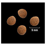 Crave Natural Grain Free Adult Dry Cat Food Salmon & Whitefish    750g