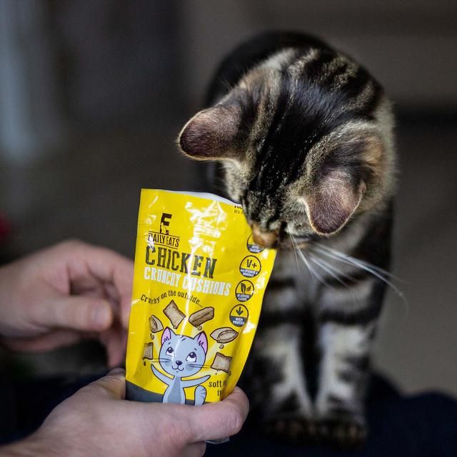 Crunchy Chicken Cushions For Cats 60g