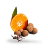 Ballsy Cacao & Orange high protein balls (British brand)