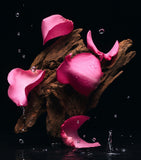 Dolce&Gabbana Velvet Tender Oud Eau de Parfum 100ml, imported from the UK
