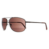 Calvin Klein CK19137S brown men sunglasses, imported from the UK
