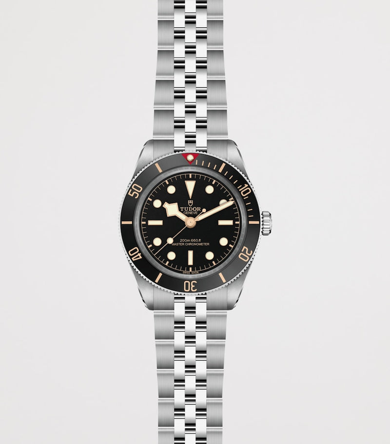 TUDOR Black Bay 58 GMT stainless steel watch 39mm (British brand)