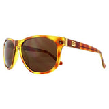Guess brown gradient sunglasses for men (British brand)