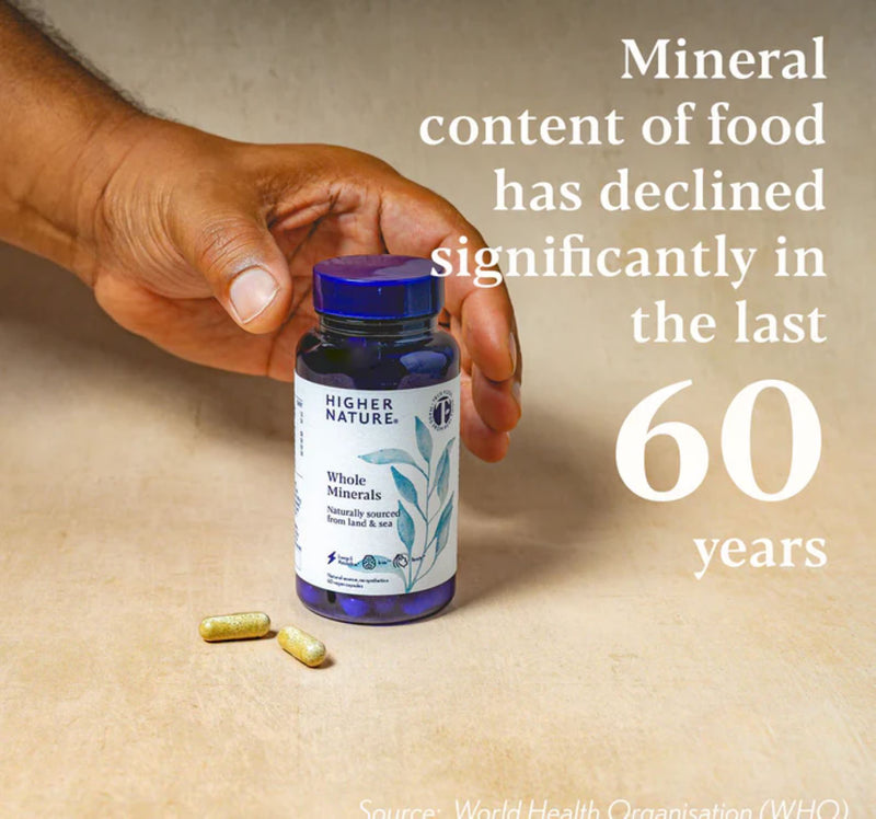 True Food Whole Minerals supplement 60 capsules, UK version