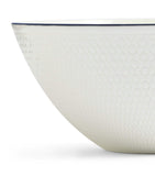 Wedgwood Gio Blue cereal bowl (British brand)