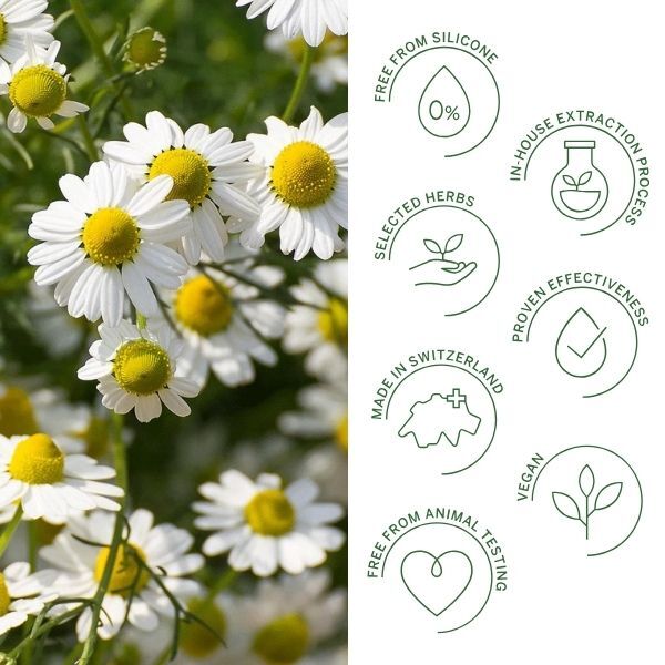 Rausch Detangling Spray Conditioner Swiss Herbs 100ml, imported from the UK