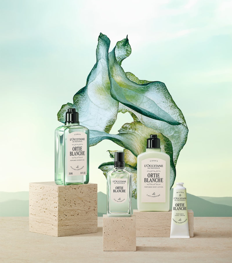 L'Occitane Ortie Blanche body lotion 250ml, UK version