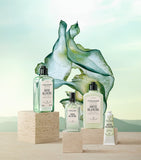 L'Occitane Ortie Blanche body lotion 250ml, UK version