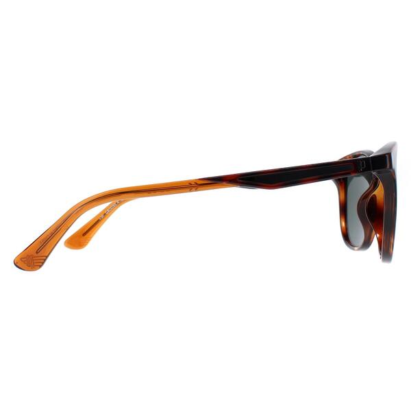 Police dark Havana round sunglasses - British product
