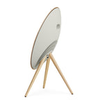 Bang & Olufsen Beosound A9 5th Generation Speaker, UK version