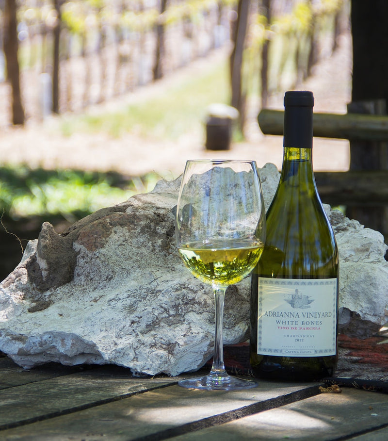 Catena White Bones Chardonnay 75cl (British brand)