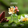 Marc Jacobs Daisy Wild perfume 50ml, imported from the UK
