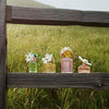 Marc Jacobs Daisy Wild perfume 50ml, imported from the UK