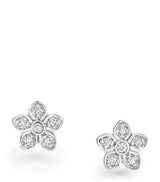 Harrods White Gold and Diamond Stud Earrings with Wild Flower Design- Buy online at McGrocer