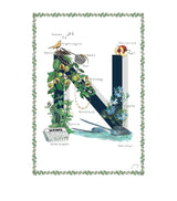 Harrods Jo Laing A4 Ornate Letter Art Print- Buy online at McGrocer