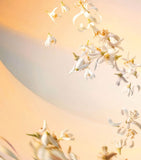 Guerlain Neroli Plein Sud eau de parfum 200ml, UK version