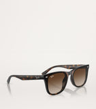Ray-Ban Injected RB4420 sunglasses, imported from the UK
