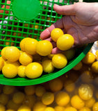 Olives Et Al baby preserved Beldi lemons 500g, imported from the UK