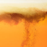 BrewDog Punk IPA 4 x 330ml - McGrocer