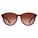 Superdrug Ted Baker Tierney Red Gradient Women Sunglasses- Buy online at McGrocer