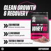 Soccer Supplement Whey90 strawberry protein powder 33 servings, UK version