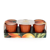 Superdrug Candlelight Set of 3 Ribbed Mini Candles - Mandarin & Orange Blossom- Buy online at McGrocer