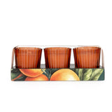 Candlelight Set of 3 Ribbed Mini Candles - Mandarin & Orange Blossom