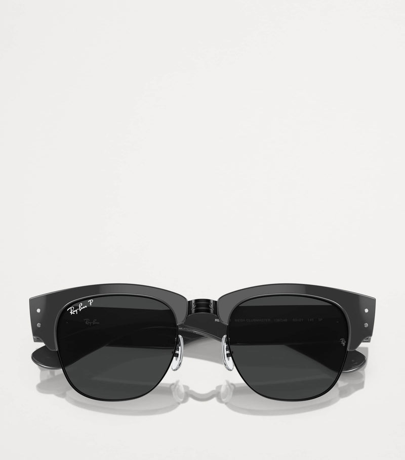 Ray-Ban Propionate sunglasses 0RB0316S - British product