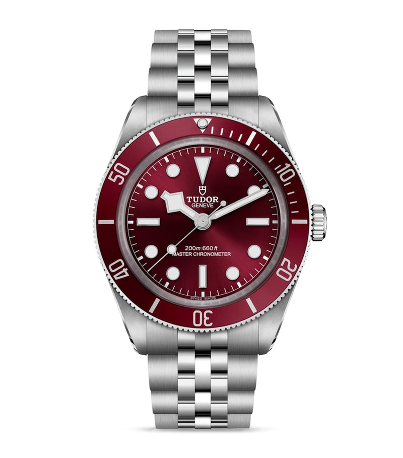 TUDOR Black Bay 58 watch 39mm (British brand)