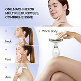 Nikki Temple face massager imported from the UK