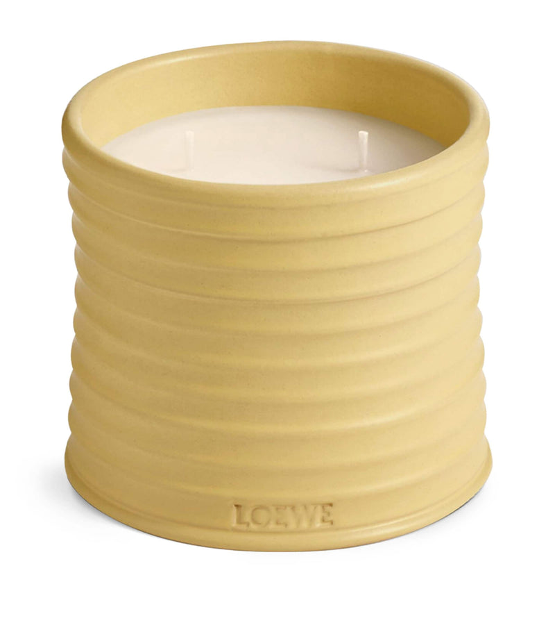 LOEWE Medium Honeysuckle candle, UK version