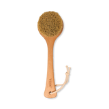 Holland & Barrett 100% Cactus Bristle Vegan Dry Body Brush- Buy online at McGrocer
