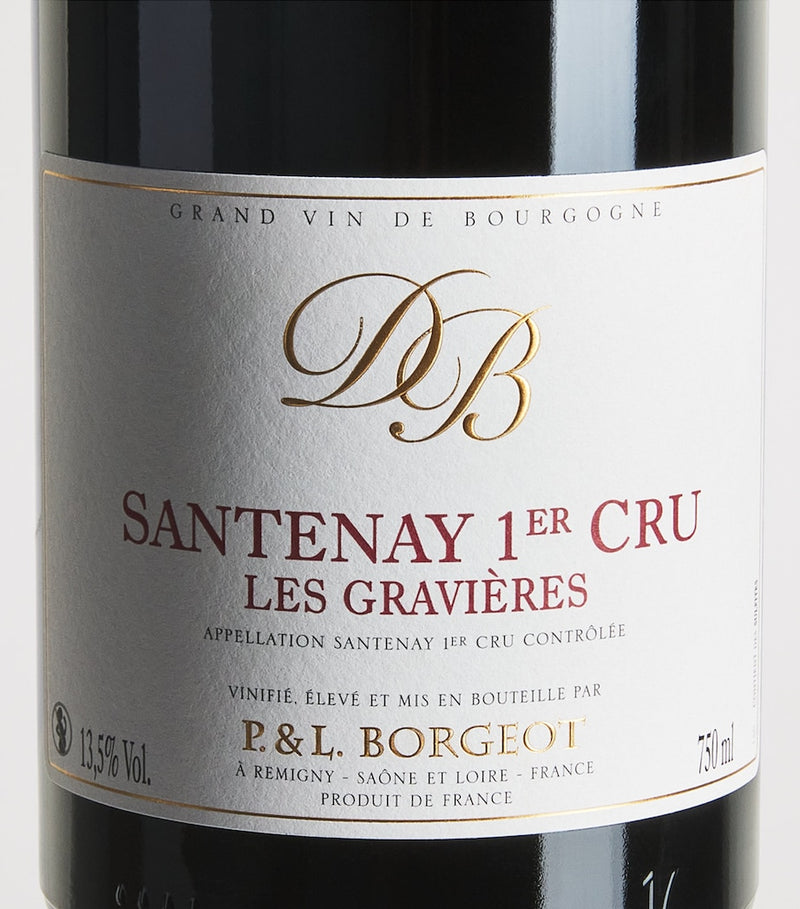Borgeot Santenay Premier Cru Les Gravières Pinot Noir 2022 red wine 75cl, UK version