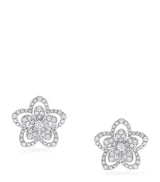 Harrods Graff White Gold and Diamond Wild Flower Earrings- Buy online at McGrocer