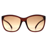 Superdrug Calvin Klein CK19565S Brown Gradient Women Sunglasses- Buy online at McGrocer