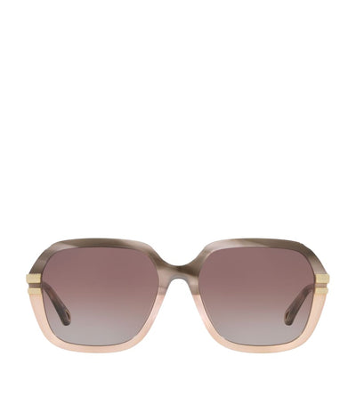 Harrods Chloé Acetate 06N000513 Sunglasses- Buy online at McGrocer