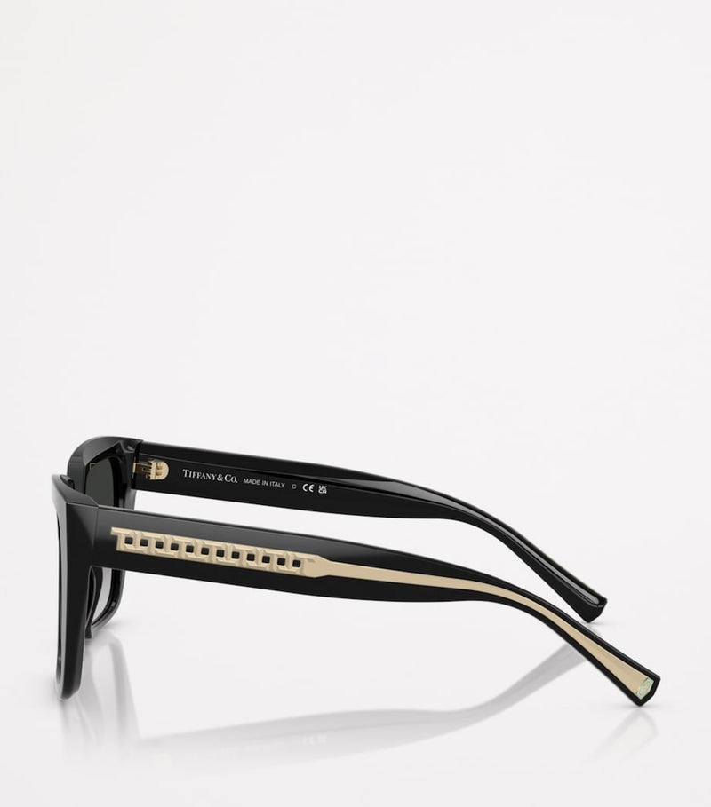 Tiffany & Co. TF4235 acetate square sunglasses (British brand)