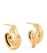 Harrods LIÉ STUDIO Gold-Plated The Diana Hoop Earrings, 1.5cm- Buy online at McGrocer