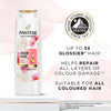 Pantene shampoo Pro-V Miracles Colour Gloss 400ml, imported from the UK