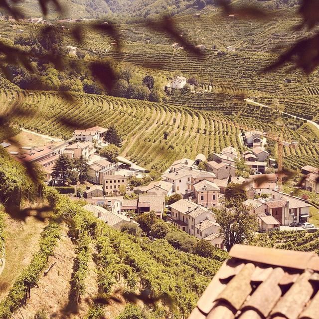 Della Vite Treviso D.O.C Prosecco 75cl