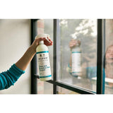 Delphis Eco Glass and Stainless Steel Cleaner 700ml